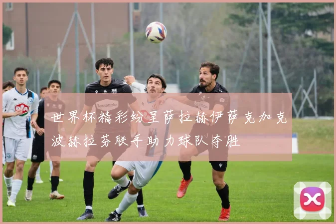 世界杯精彩纷呈萨拉赫伊萨克加克波赫拉芬联手助力球队夺胜