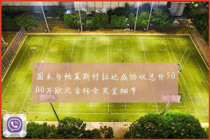国米与帕莱斯特拉达成协议总价5000万欧元含转会奖金细节