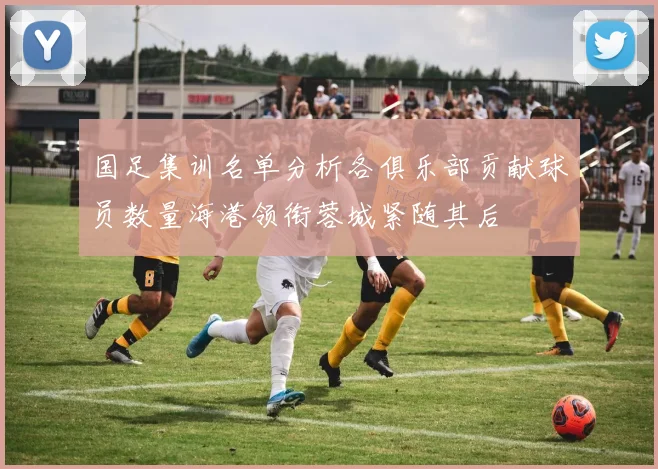 国足集训名单分析各俱乐部贡献球员数量海港领衔蓉城紧随其后